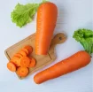 carrot